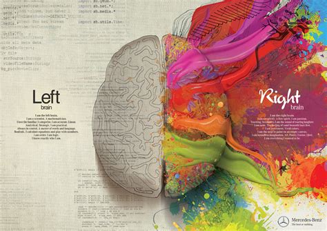 Grafocreatividad Hemisferio Derecho Vs Hemisferio Izquierdo