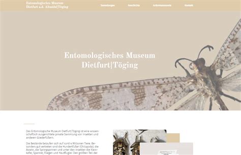 Neuer Webauftritt für Entomologisches Museum Dietfurt Töging