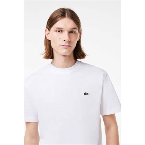 Lacoste T Shirt Met Logo Wit Kopen Morgen In Huis Wehkamp