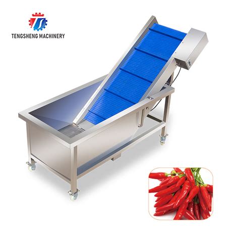 Stainless Steel Automatic Vegetable And Fruit Elevator Food Processing