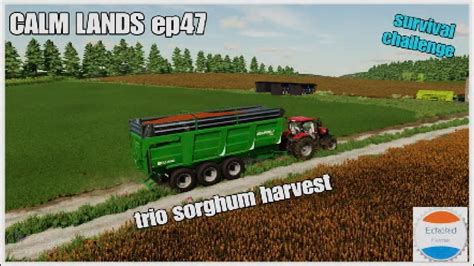 Trio Sorghum Harvest New Sheep Pasture Calm Lands Ep Survival