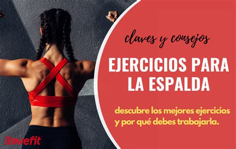 ️12 Mejores Ejercicios Espalda Fortalece Previene Y Elimina Tus Dolor