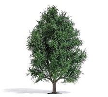 In Stock Busch Other Trees Model Railroad Trees