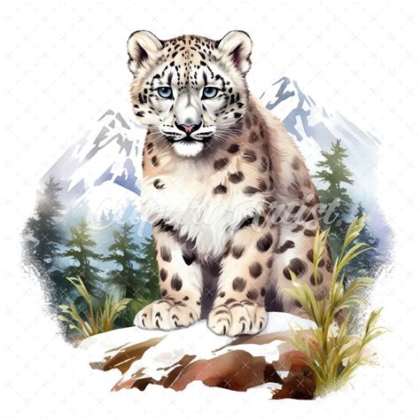 20 High Quality Cute Snow Leopard Clipart Cute Snow Leopard Etsy