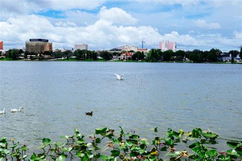 Lake Morton And The City Center Of Lakeland Florida Stock Image Image