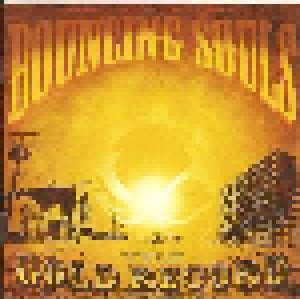 The Gold Record Cd Multimedia Von The Bouncing Souls