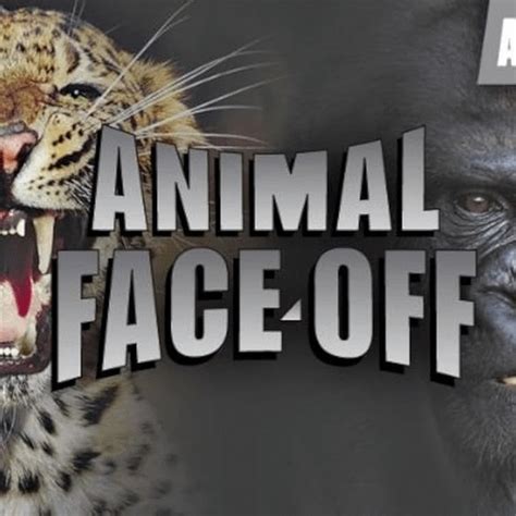 Animal Face Off Youtube