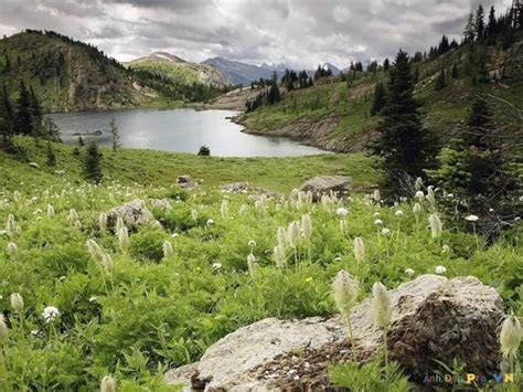 Bộ sưu tập những cảnh đẹp thiên nhiên thơ mộng và lãng mạn nhất Thư viện Ảnh đẹp hot nhất