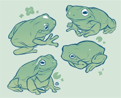 How To Draw A Realistic Frog