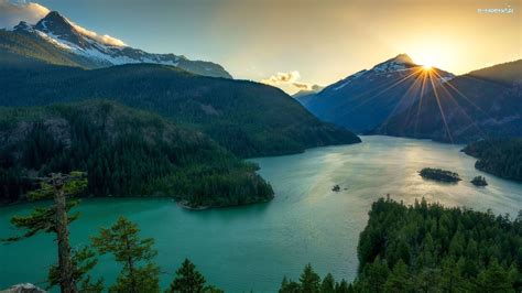 Drzewa Jezioro Stany Zjednoczone Stan Waszyngton Diablo Lake