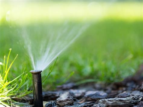 Una Guida Per Realizzare Un Impianto Di Irrigazione In Giardino