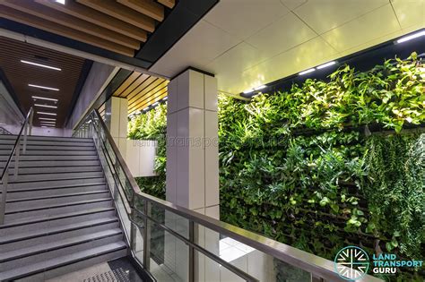 Napier Mrt Station Intermediate Staircase Landing Between Exit And