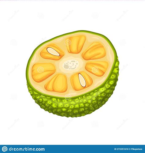 Nature Jackfruit Icon Cartoon Vector Ripe Food Cartoondealer