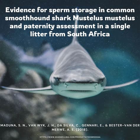 Oceans Research Posted On Linkedin