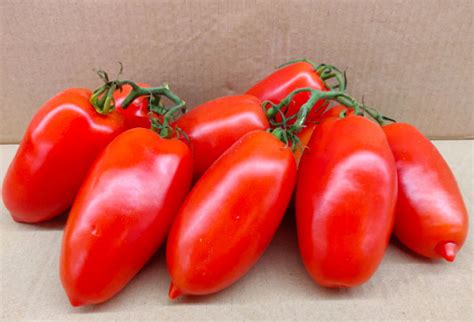 Pomodori Di San Marzano Consegna A Domicilio Gerarda Marcello