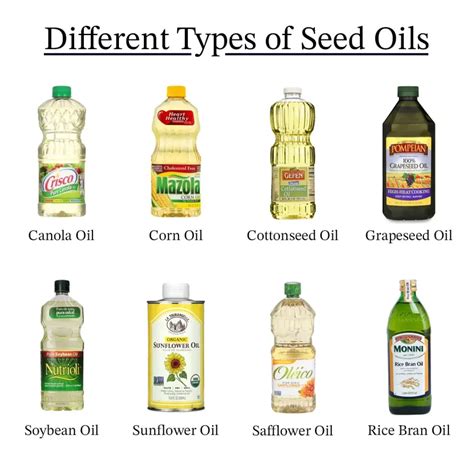 Are Seed Oils Bad For You A Registered Dietitian Explains