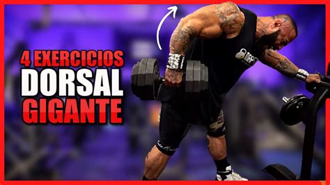 Top Exercicios Para Deixar Suas Costas Mais Largas Treinando