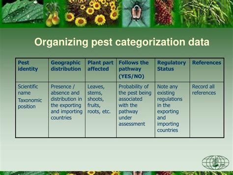 Ppt Pest Risk Analysis Pra Stage 2 Pest Risk Assessment Powerpoint Presentation Id 5666708