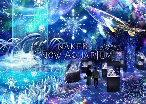 マクセル アクアパーク品川この冬彩りをまとった海のスノウドームへNAKED SNOW AQUARIUM2019年12月28日 土