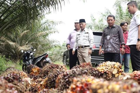 Globalplanetnews Kelapa Sawit Salah Satu Komoditi Penyumbang Kenaikan