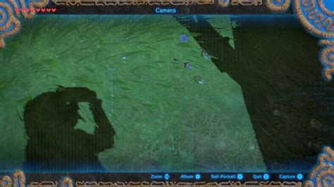 152 Best Sheikah Slate Images On Pholder Breath Of The Wild Zelda