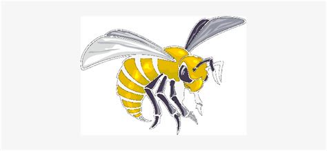 Alabama,state,hornets - Alabama State Hornets Logo - Free Transparent PNG Download - PNGkey