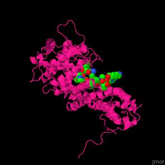 Menin Proteopedia Life In 3D