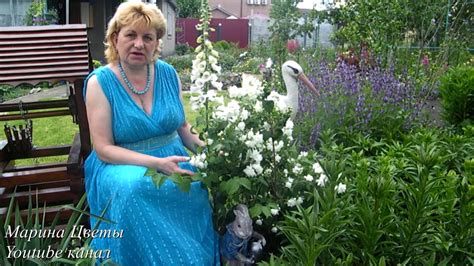 ЖАСМИН В ЛАНДШАФТНОМ ДИЗАЙНЕ - YouTube