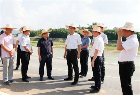 王雄飞到太平镇调研 罗定资讯 21ccnn网站