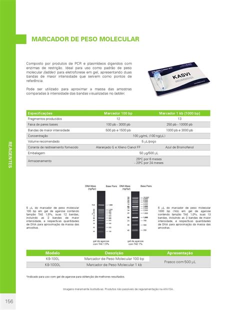 Marcador De Peso Molecular By Kasvi Issuu