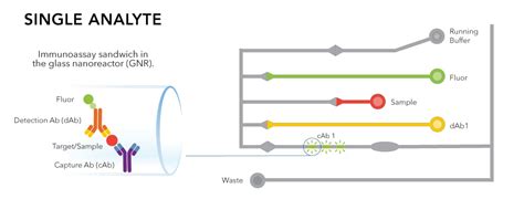 Ella Assays Precision Multiplexing Made Simple Bio Techne