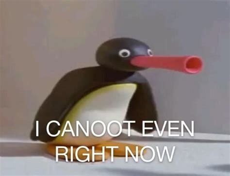 Pinterest Pingu Memes Wholesome Memes Bad Memes