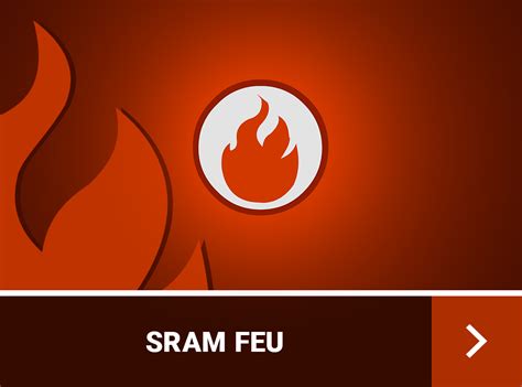 Dofus Sram Guide Et Stuff Nos Builds Du Niveau Au Niveau