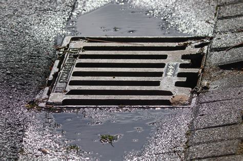 Why Does My Sewer Smell When It Rains At Dorothy Dice Blog