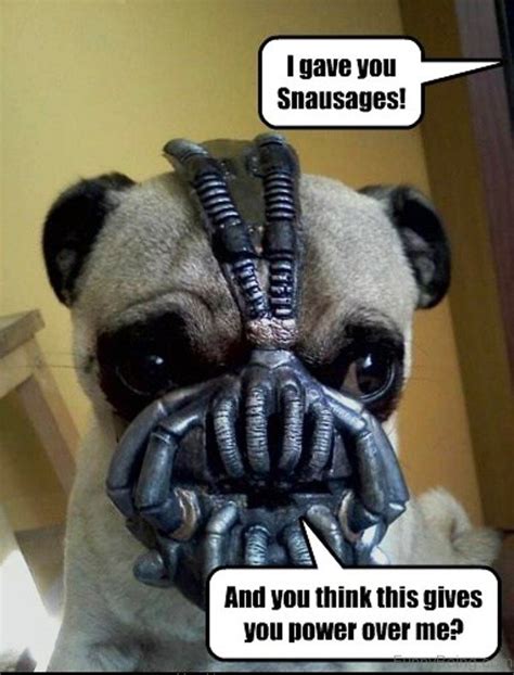 15 Amazing Bane Memes