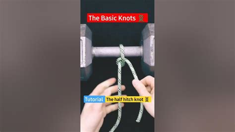 How To Tie A Half Hitch Knot 🪢🪢🪢 2 Shorts Shortsvideo Fyp Knots