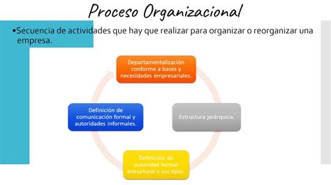 Etapas De La Organizacion Administrativa Prodesma