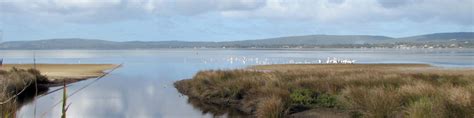 Albany (Western Australia) - Wikitravel