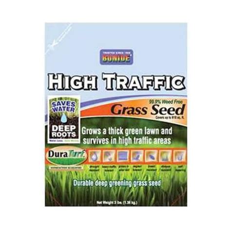 Top 10 Best High Traffic Grass Seed of 2023 (Reviews) - FindThisBest