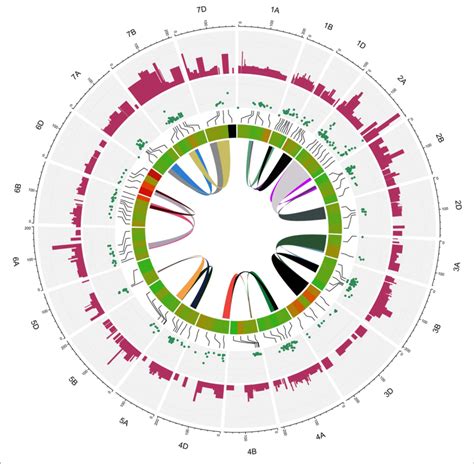 Circus Plot Showing Distribution Of Qtls And Mqtls On Linkage