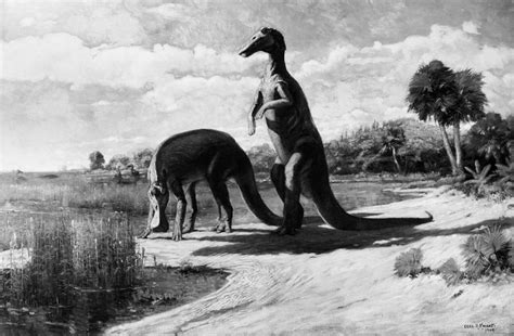 Dinosaurs: Trachodon Photograph by Granger | Fine Art America