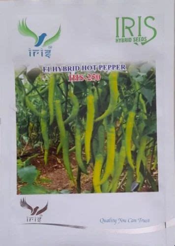 Green F Hybrid Hot Pepper IHS Packaging Type Packet Packaging Size G At Pack In