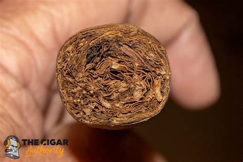 Cigar Review Nestor Miranda Special Selection Connecticut Toro