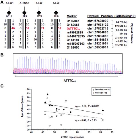 The Intronic Atttc Pentanucleotide Repeat Mutation Within The Dab Gene