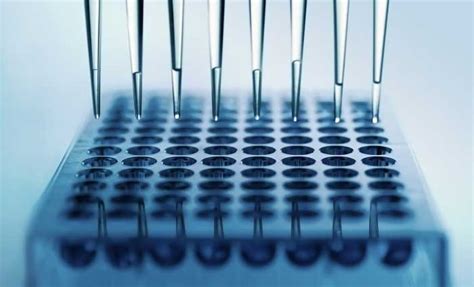 Mutagenicity Testing