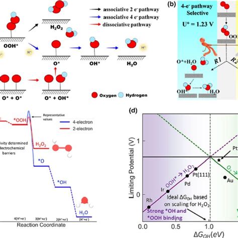 A Three Possible Reaction Pathways In Electrochemical Oxygen Reduction