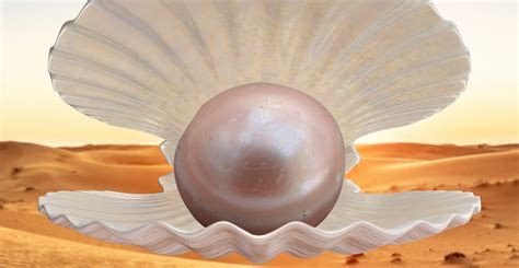 The World S Oldest Pearl Is Pink And Proof Of Neolithic Trading The