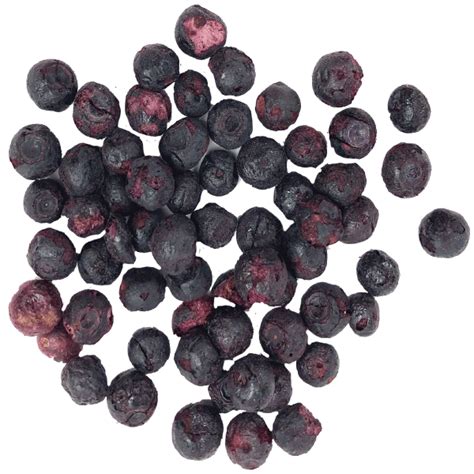 Freeze Dried Blueberries - 1 Lb Case - Brooke & Bradford