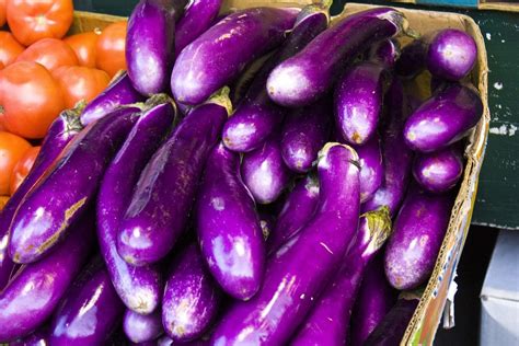 Eggplant Seeds Long Purple Sow True Seed