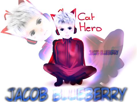 Cat Hero! by NagamiANIME-chan on DeviantArt